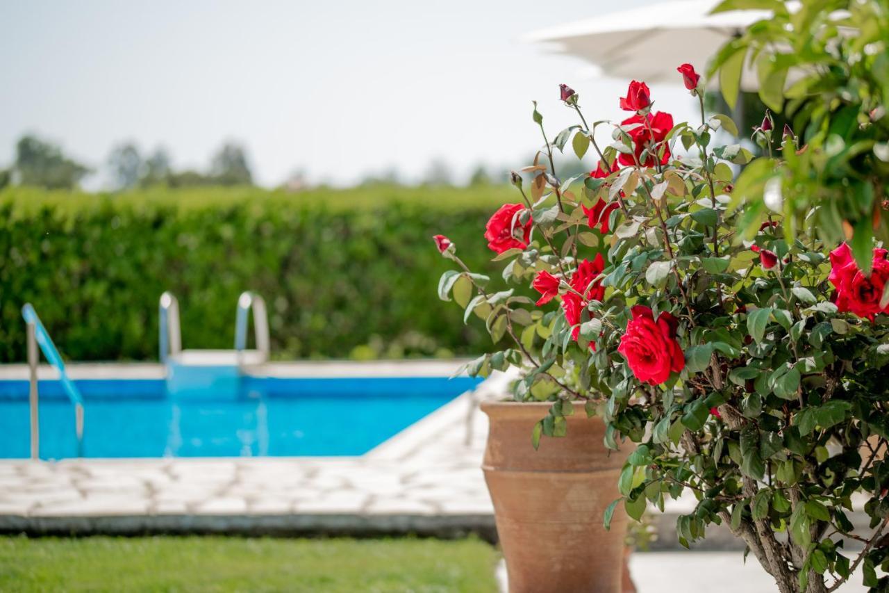 Villa In Pietra Kalamaras Makhairadhon Екстер'єр фото
